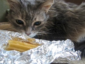 I'm so disillusioned...